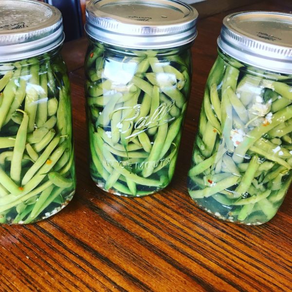 Pickled Green Beans